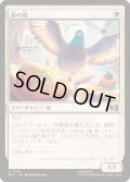 (FOIL)街の鳩/City Pigeon《日本語》【MSC】