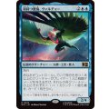(FOIL)羽持つ悪鬼、ヴァルチャー/Vulture, Feathered Fiend《日本語》【MSC】