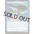 [EX+]羽持つ悪鬼、ヴァルチャー/Vulture, Feathered Fiend《日本語》【MSC】