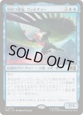 [EX+]羽持つ悪鬼、ヴァルチャー/Vulture, Feathered Fiend《日本語》【MSC】