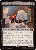 大胆不敵な諜報員、ブラック・ウィドウ/Black Widow, Daring Operative《日本語》【MSC】