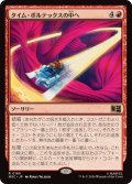 タイム・ボルテックスの中へ/Into the Time Vortex《日本語》【MSC】