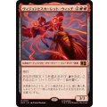 ヴィジョンとスカーレット・ウィッチ/The Vision and Scarlet Witch《日本語》【MSC】