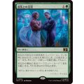 祖先との交流/Ancestral Communion《日本語》【MSC】