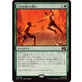 [EX+]王位を賭けた戦い/Fight for the Throne《日本語》【MSC】