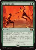 王位を賭けた戦い/Fight for the Throne《日本語》【MSC】