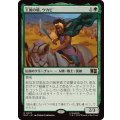 [EX+]王国の盾、ウカビ/W'Kabi, Shield of the Nation《日本語》【MSC】