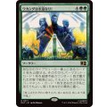 ワカンダは永遠なり！/Wakanda Forever!《日本語》【MSC】