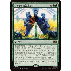 画像1: ワカンダは永遠なり！/Wakanda Forever!《日本語》【MSC】