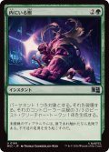 内にいる獣/Beast Within《日本語》【MSC】