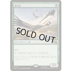 画像1: (サージFOIL)極楽鳥/Birds of Paradise《日本語》【MSC】
