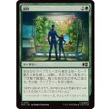 [EX+]耕作/Cultivate《日本語》【MSC】