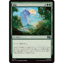 画像1: [EX+]調和/Harmonize《日本語》【MSC】