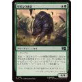 忠実な守護者/Loyal Guardian《日本語》【MSC】