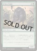 (サージFOIL)忠実な守護者/Loyal Guardian《日本語》【MSC】