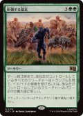 圧倒する暴走/Overwhelming Stampede《日本語》【MSC】