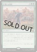 (サージFOIL)圧倒する暴走/Overwhelming Stampede《日本語》【MSC】
