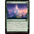 [EX+]発見の道/Path of Discovery《日本語》【MSC】