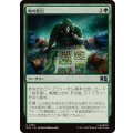 地の変幻/Terramorph《日本語》【MSC】