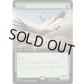 (FOIL)(フルアート)極楽鳥/Birds of Paradise《日本語》【MSC】