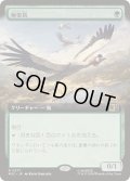 (FOIL)(フルアート)極楽鳥/Birds of Paradise《日本語》【MSC】