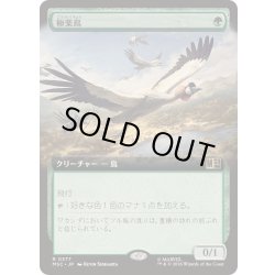 画像1: (FOIL)(フルアート)極楽鳥/Birds of Paradise《日本語》【MSC】