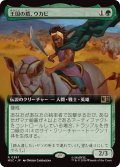 (フルアート)王国の盾、ウカビ/W'Kabi, Shield of the Nation《日本語》【MSC】
