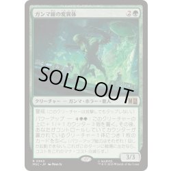 画像1: ガンマ線の変異体/Gamma Grotesque《日本語》【MSC】