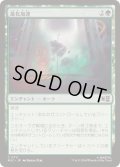 (FOIL)進化加速/Accelerated Evolution《日本語》【MSC】