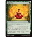 (FOIL)霊魂の向上/Advancing the Spirit《日本語》【MSC】