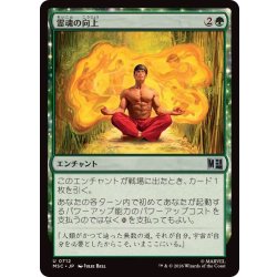 画像1: (FOIL)霊魂の向上/Advancing the Spirit《日本語》【MSC】