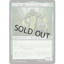 画像1: [EX+]とぐろ巻く腹心、ブッシュマスター/Bushmaster, Coiled Henchman《日本語》【MSC】