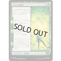 画像1: (FOIL)ハルクの原点/Origin of the Hulk《日本語》【MSC】
