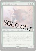 [EX+]恐怖の蹂躙者、ライノ/Rhino, Terrible Trampler《日本語》【MSC】