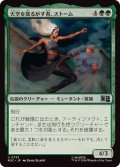 (FOIL)天空を揺るがす者、ストーム/Storm, Shaker of Skies《日本語》【MSC】