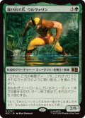 (FOIL)飛び出す爪、ウルヴァリン/Wolverine, Claws Out《日本語》【MSC】
