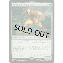 画像1: [EX+]飛び出す爪、ウルヴァリン/Wolverine, Claws Out《日本語》【MSC】