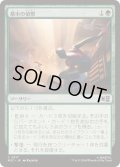 (FOIL)都市の偵察/Scout the City《日本語》【MSC】