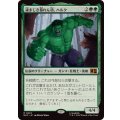 (FOIL)凄まじき暴れん坊、ハルク/Hulk, Brutal Brawler《日本語》【MSC】