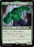 (FOIL)凄まじき暴れん坊、ハルク/Hulk, Brutal Brawler《日本語》【MSC】