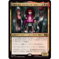 画像1: 分裂する心、タイフォード・マリー/Typhoid Mary, Fractured《日本語》【MSC】