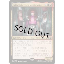 画像1: (サージFOIL)分裂する心、タイフォード・マリー/Typhoid Mary, Fractured《日本語》【MSC】