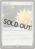 (サージFOIL)金粉の水蓮/Gilded Lotus《日本語》【MSC】