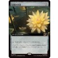 (フルアート)金粉の水蓮/Gilded Lotus《日本語》【MSC】
