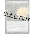 (FOIL)(フルアート)金粉の水蓮/Gilded Lotus《日本語》【MSC】