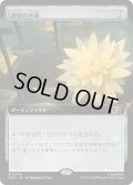 (FOIL)(フルアート)金粉の水蓮/Gilded Lotus《日本語》【MSC】