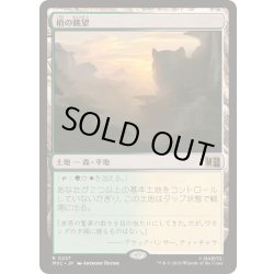 画像1: [EX+](サージFOIL)梢の眺望/Canopy Vista《日本語》【MSC】