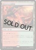 (サージFOIL)燃えがらの林間地/Cinder Glade《日本語》【MSC】