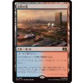 沿岸の頂/Coastal Peak《日本語》【MSC】