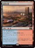 沿岸の頂/Coastal Peak《日本語》【MSC】